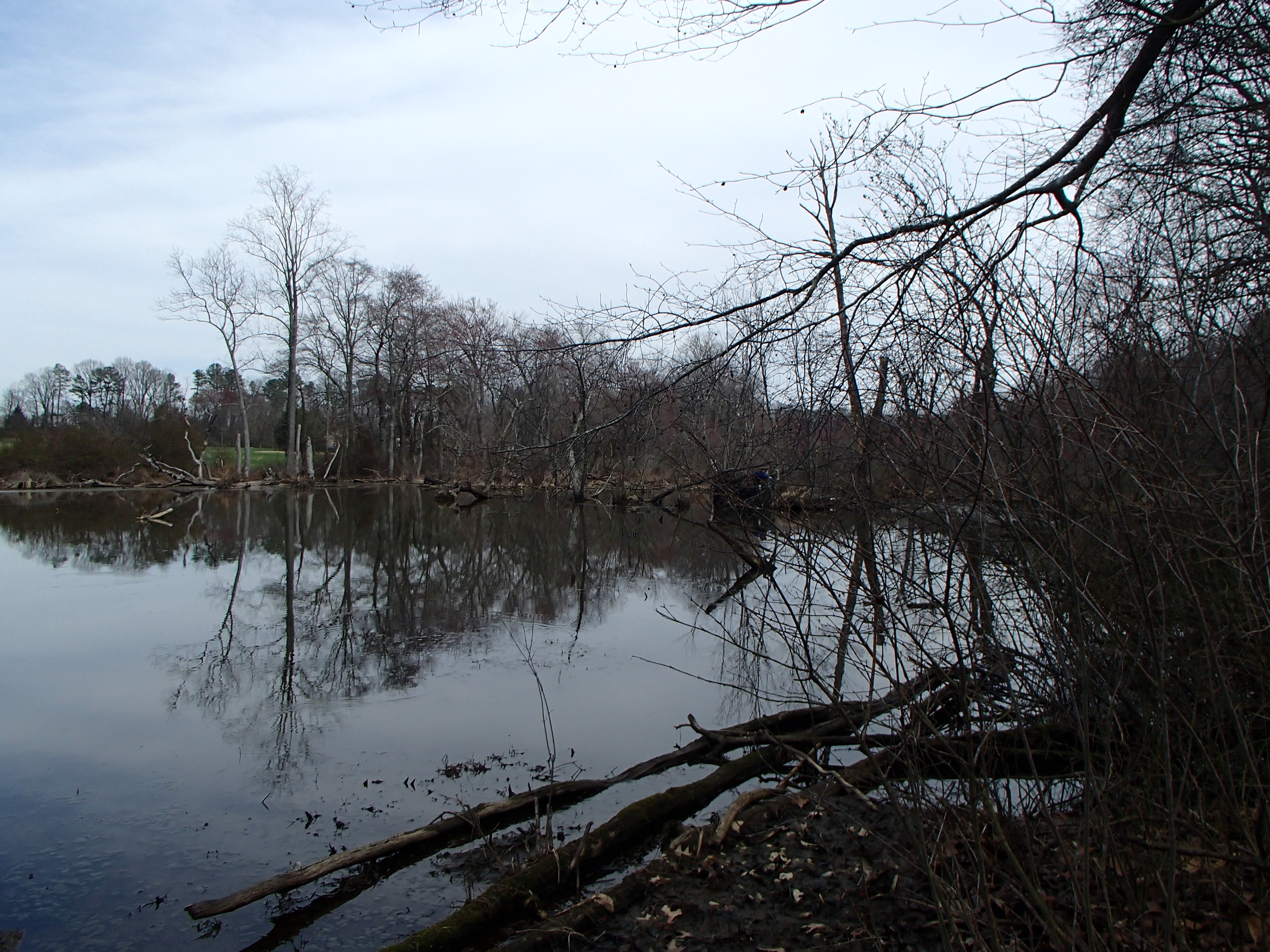 Field photo showing stream conditions at site MICR-207-R-2016_Midpoint looking downstream